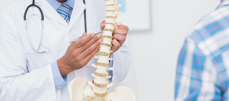 Things Your Charlotte Chiropractor Wants You to Understand